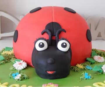 A cake in ladybug shape.