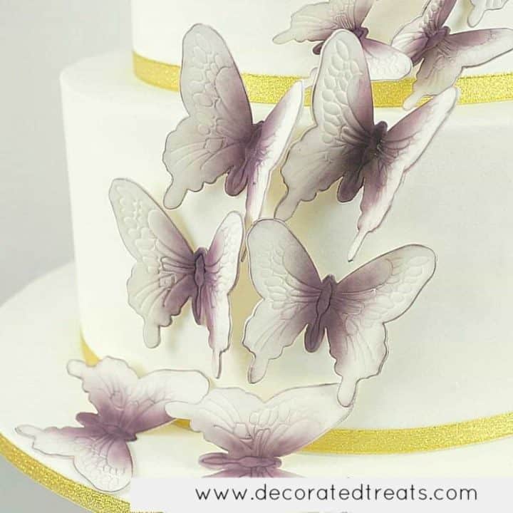 Gum paste butterfly cake decorations on a white cake