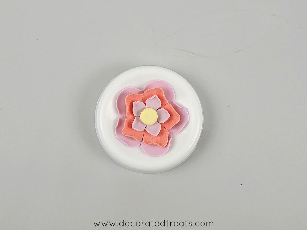 pink and purple fondant flower in a flower former