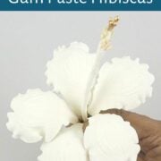 A white gum paste hibiscus held in hand.