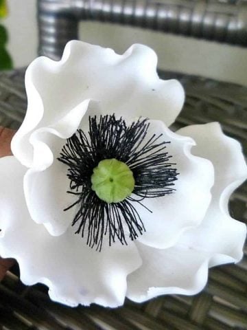 White gum paste poppy flower with black and green center.