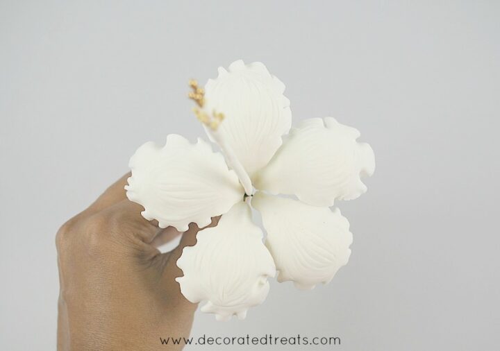 Gum Paste Hibiscus Flower Tutorial (How to Make) Decorated Treats