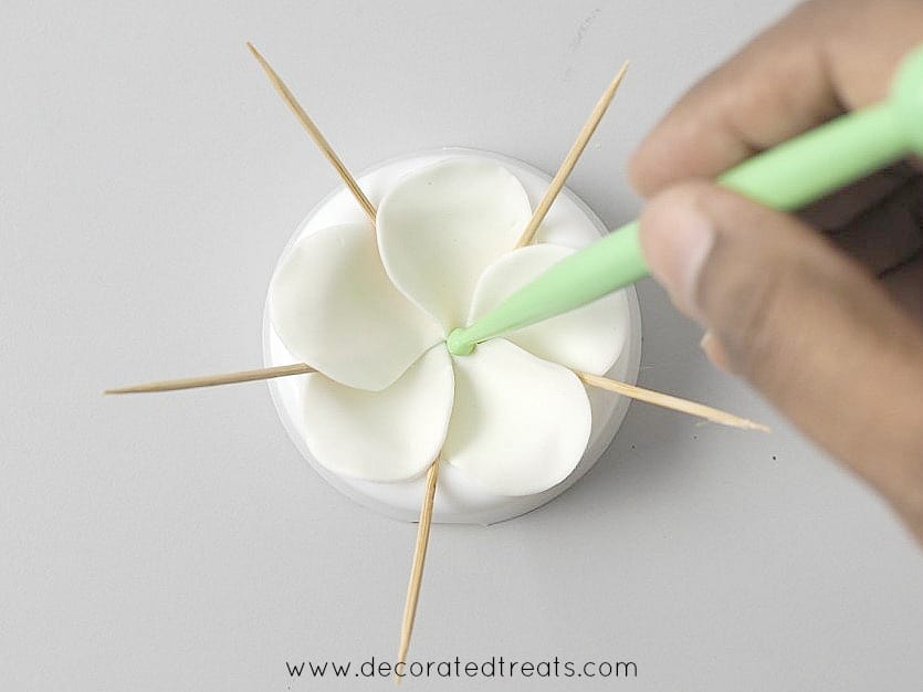 A white gum paste plumeria on a flower former. Petals are supported by toothpicks and center is being shaped with a ball tool