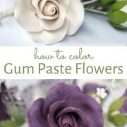 Poster on how to color gum paste flowers. In the background are white and purple gum paste roses.