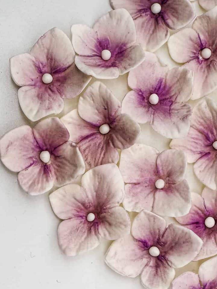 How to Color Gum Paste Flowers Decorated Treats