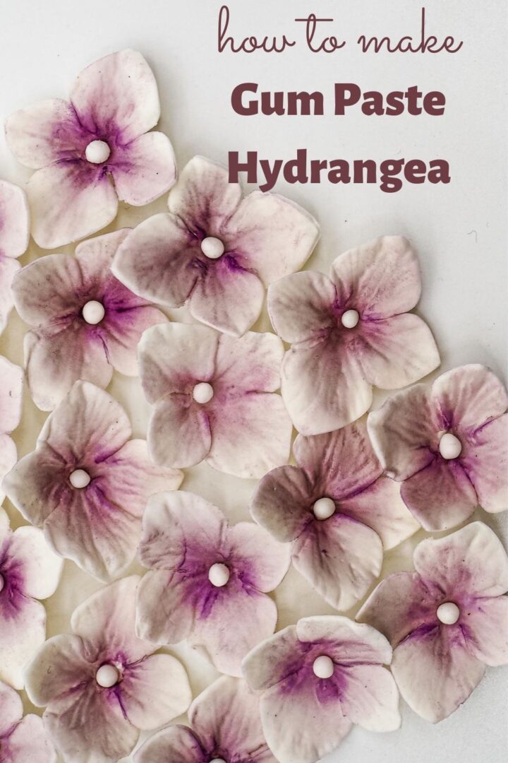 Gum Paste Hydrangea (How to Make) Decorated Treats