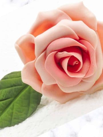 a pink gum paste rose against a marble background.