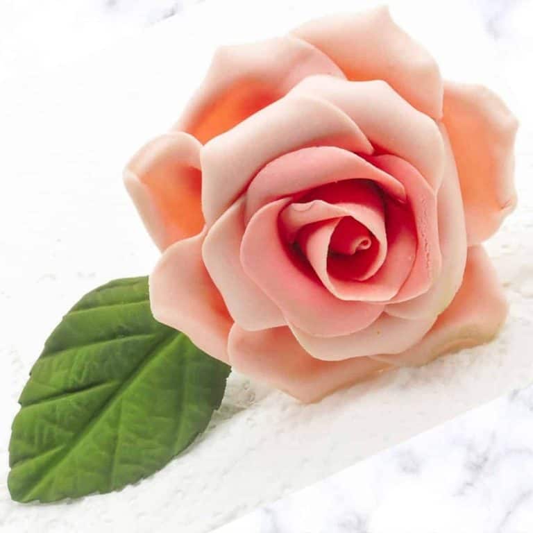 Gum Paste Rose A Step by Step Tutorial Decorated Treats