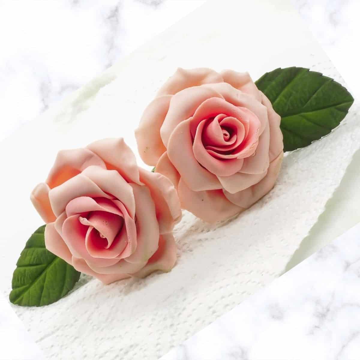 2 pink gum paste roses against a marble background