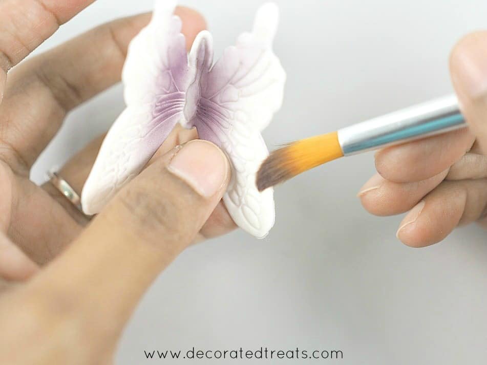 Gum paste violet butterfly held in hand, with one hand holding a brush and dusting the butterfly in violet dust