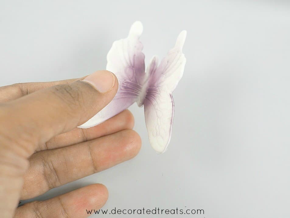 Gum paste violet butterfly held in hand