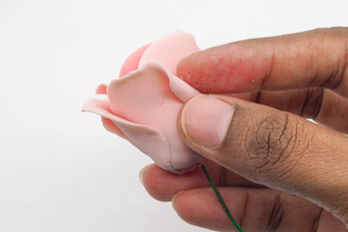 Curling the rose petals with fingers
