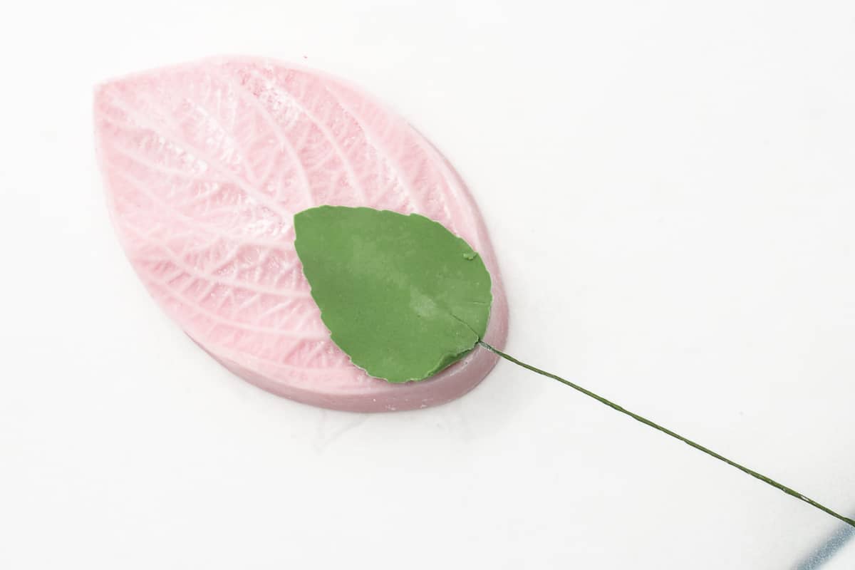 Green gum paste leave on a pink veiner
