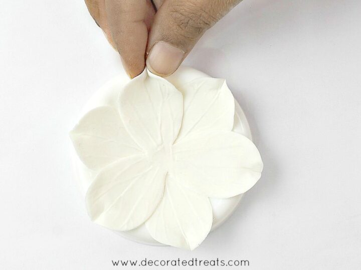 Pinching the ends of each gum paste petal.