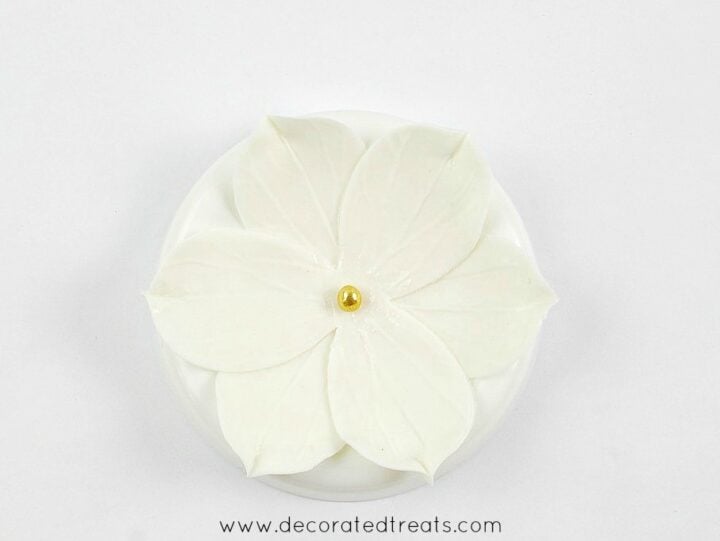 A 6 petals gum paste flower in white with gold bead center.