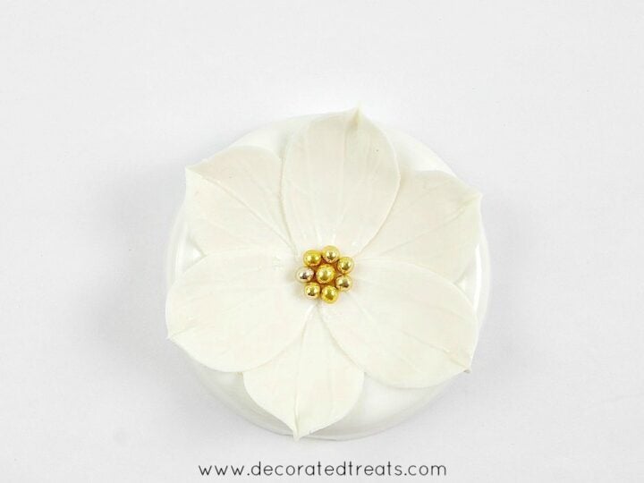 A 6 petals sugar flower in white with gold bead centers