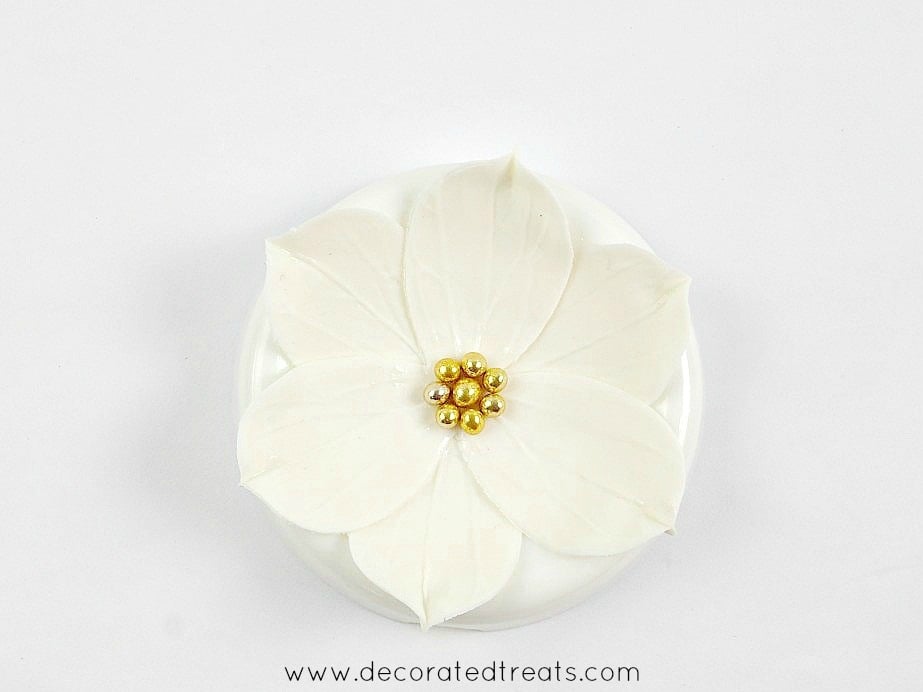 A 6 petals gum paste flower in white with gold bead centers.
