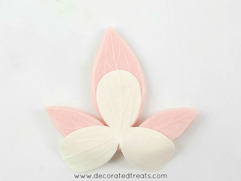 Using a pink veining tool to imprint vein marks on gum paste flower petals.