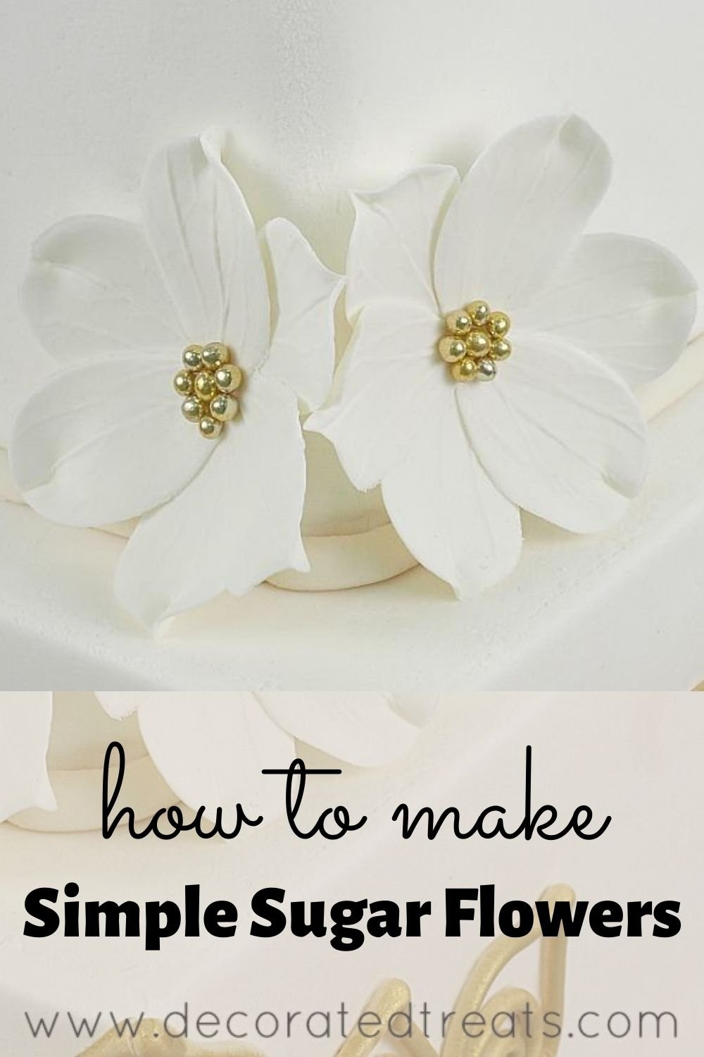 2 white gum paste flowers on the corner of a cake