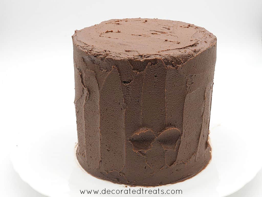 A round cake decorated in chocolate icing.