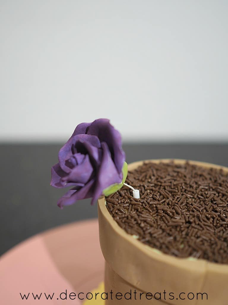 A purple gum paste rose poked into a flower pot shaped cake