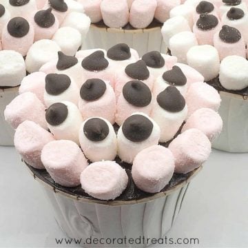 cupcakes on a plate, decorated with mini white and pink marshmallows and chocolate chips