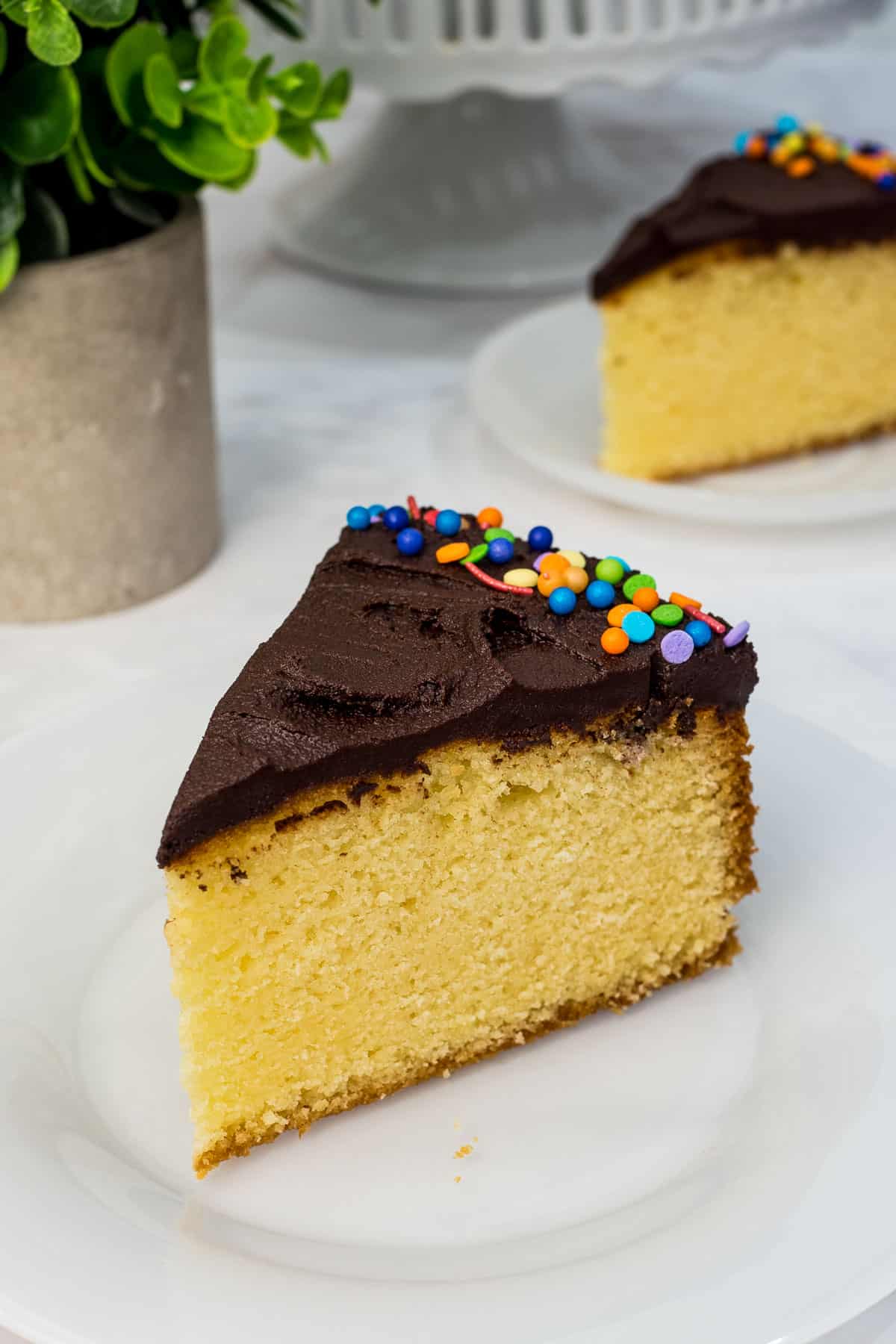 A slice of yellow cake with chocolate frosting on top, decorated with colorful sprinkles on the edges.