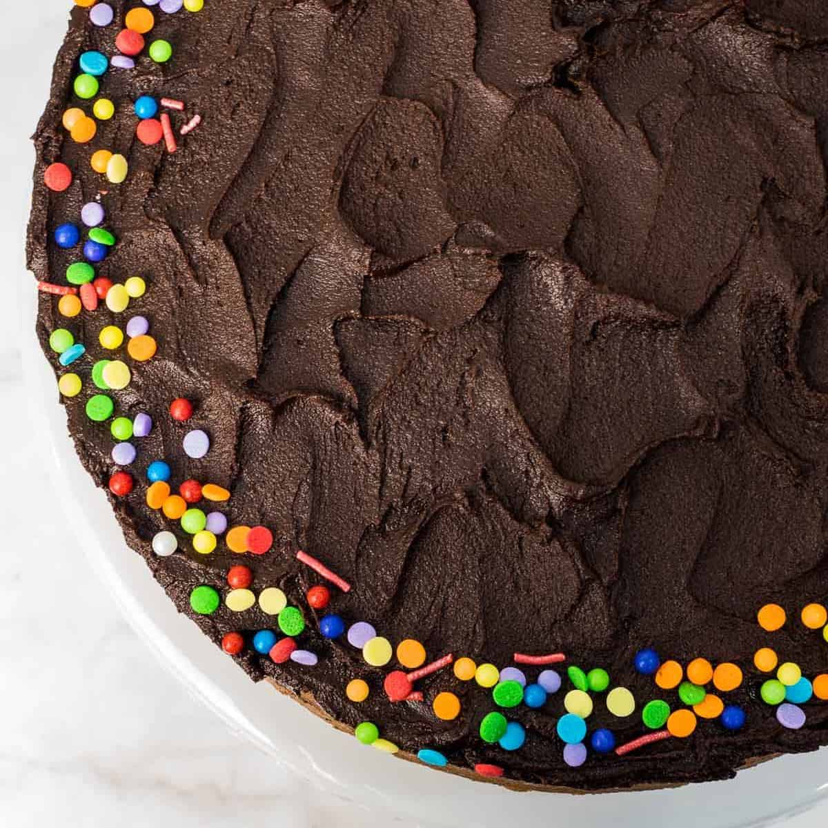 Close up of a round chocolate cake covered in chocolate icing and decorated with colorful sprinkles on the edges.