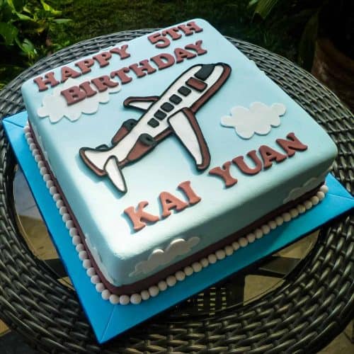 Airplane Cake for Birthday (How to Make) Decorated Treats
