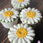 4 daisy cupcakes against a wood background.