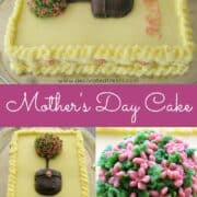 Poster for a rectangle cake decorated with buttercream topiary in pink