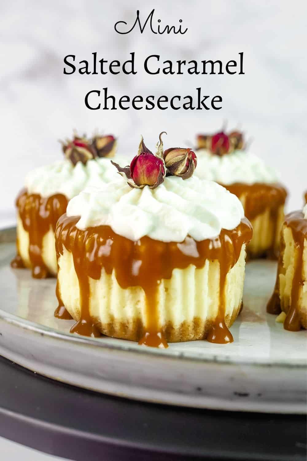 Mini Salted Caramel Cheesecake Decorated Treats