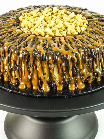 A round cheesecake with caramel and chocolate drizzle and chopped peanut center.