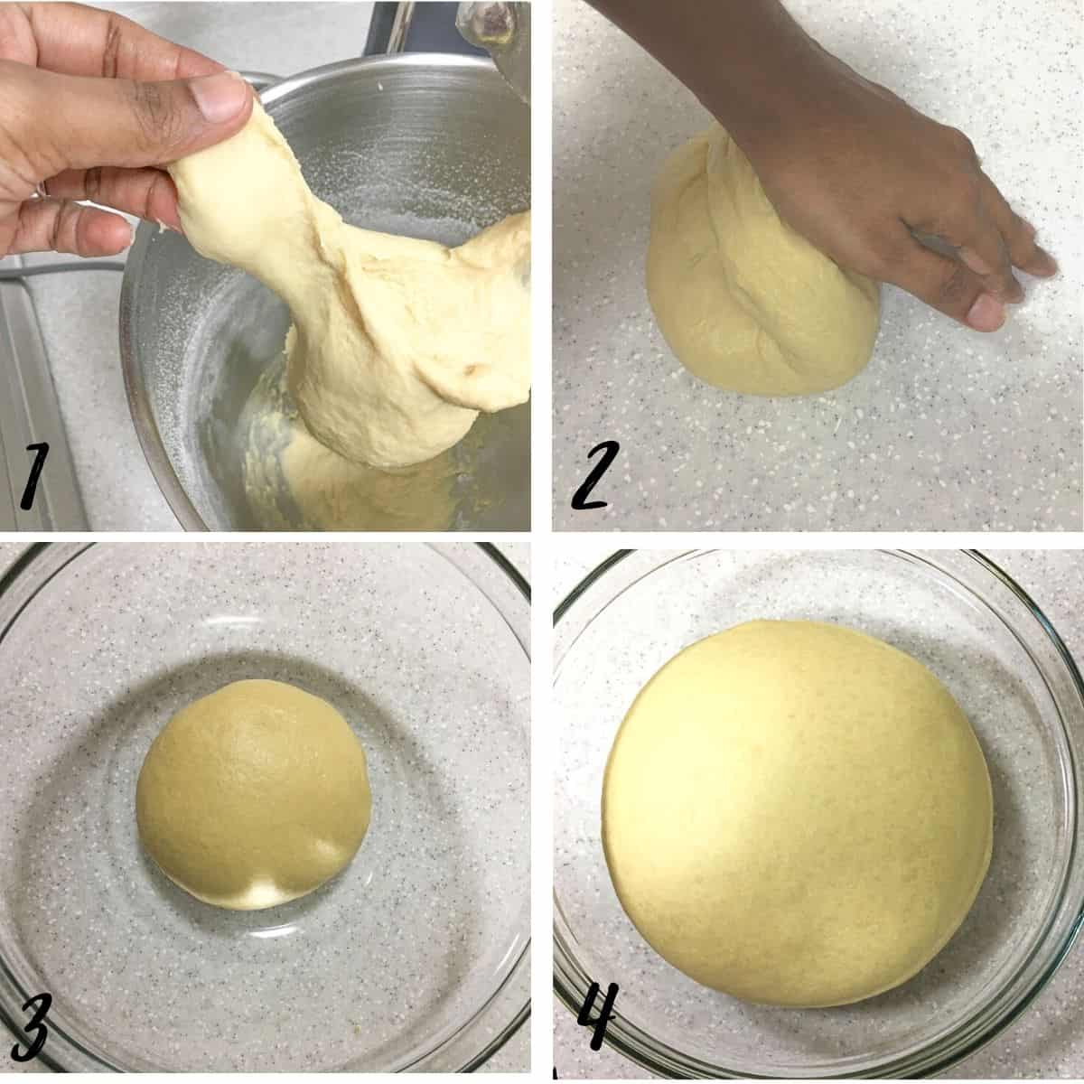 A poster of 4 images showing how to knead and proof dough.