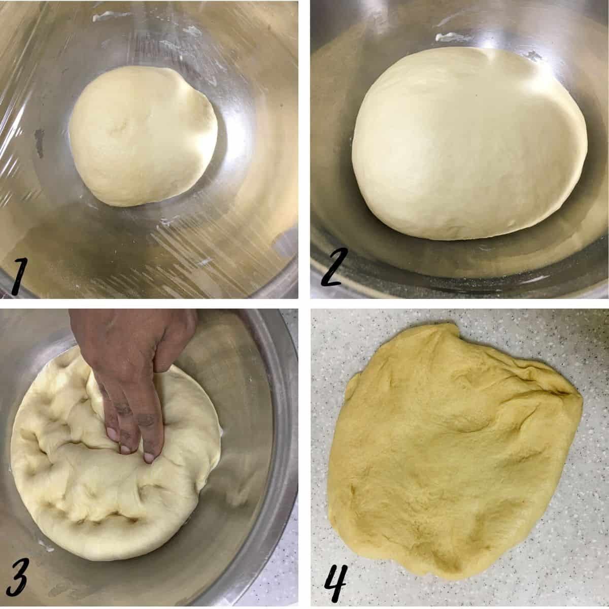 A poster of 4 images showing how to proof dough for easy yeast rolls.
