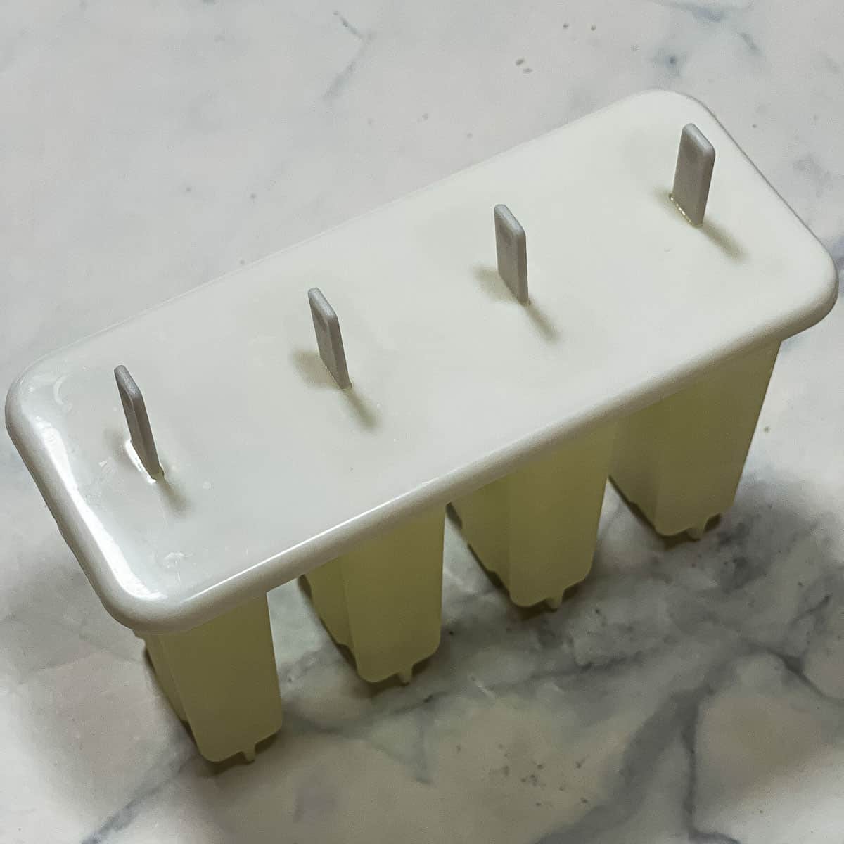 A popsicle mold with the lid and sticks on