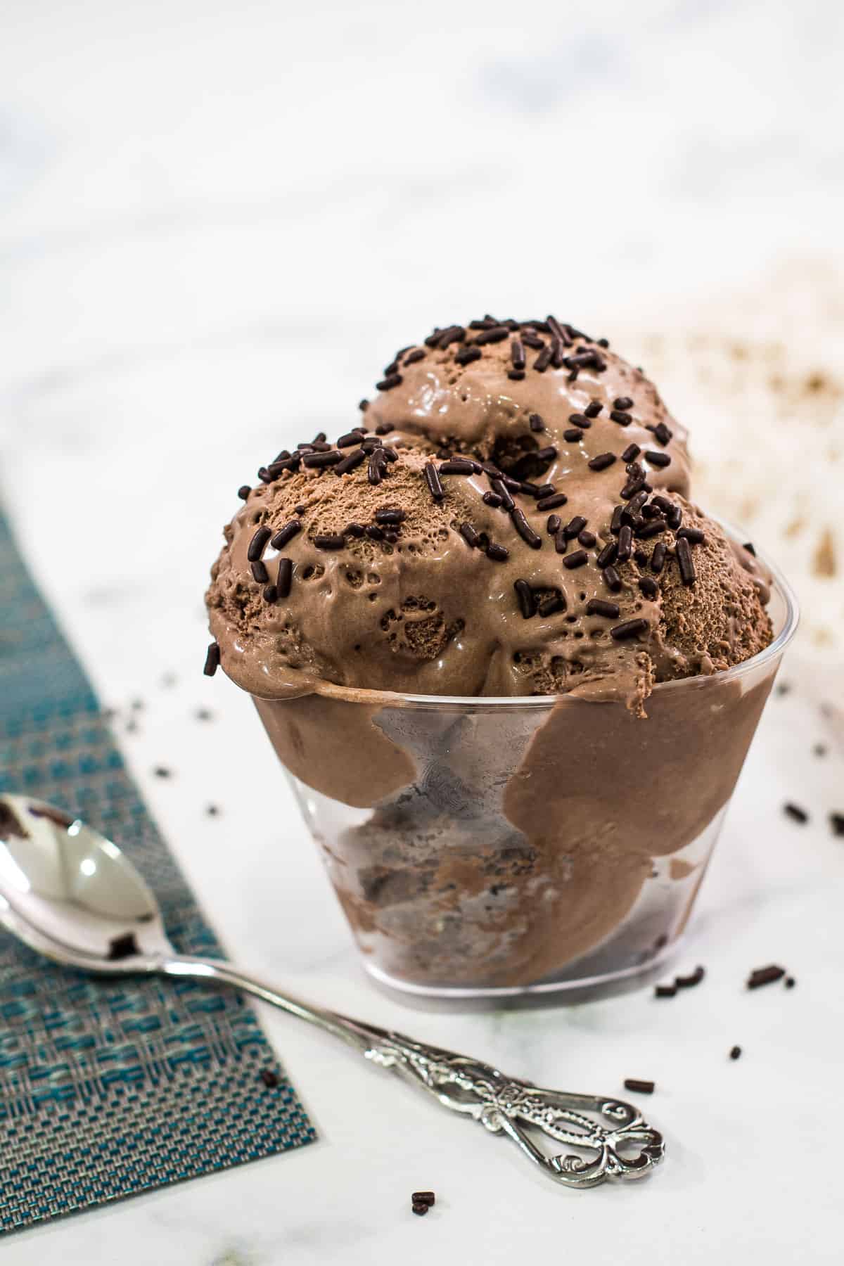A dessert bowl filled with chocolate ice cream that is topped with chocolate sprinkles