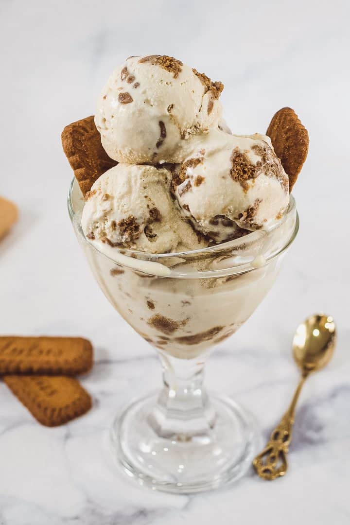 A dessert bowl filled with Biscoff Ice Cream and garnished with Lotus Biscoff cookies