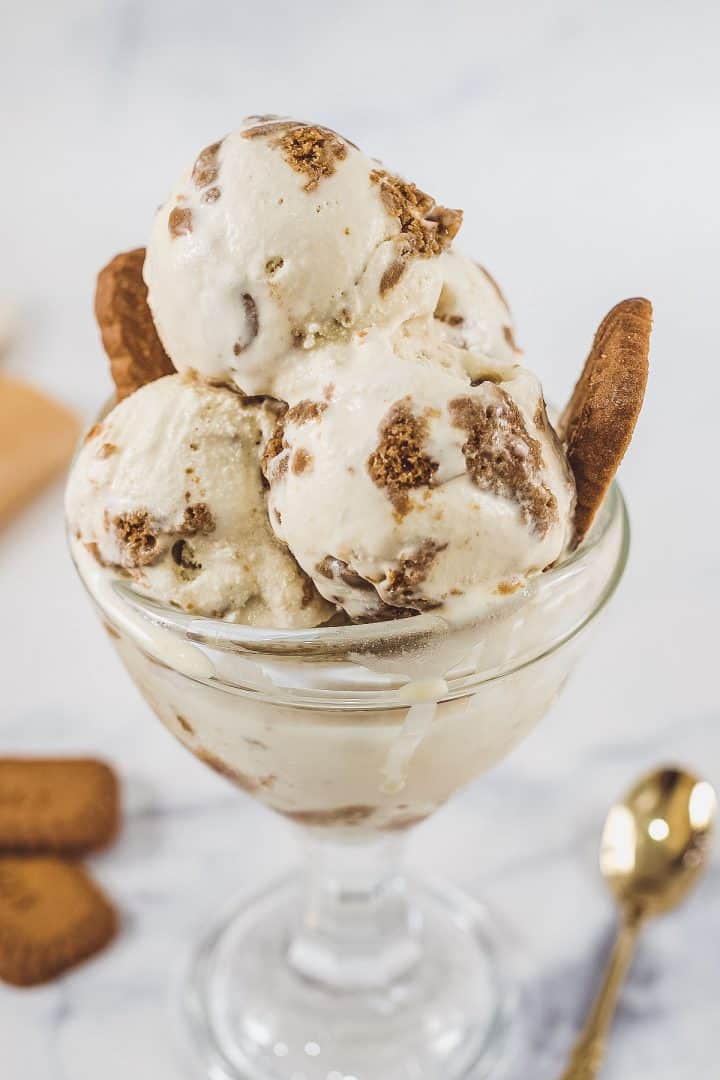 A dessert bowl filled with Biscoff Ice Cream and garnished with Lotus Biscoff cookies