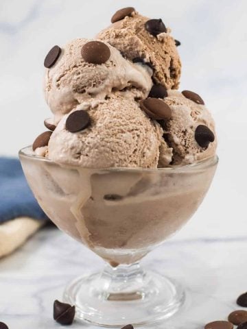A bowl of chocolate chocolate chip ice cream