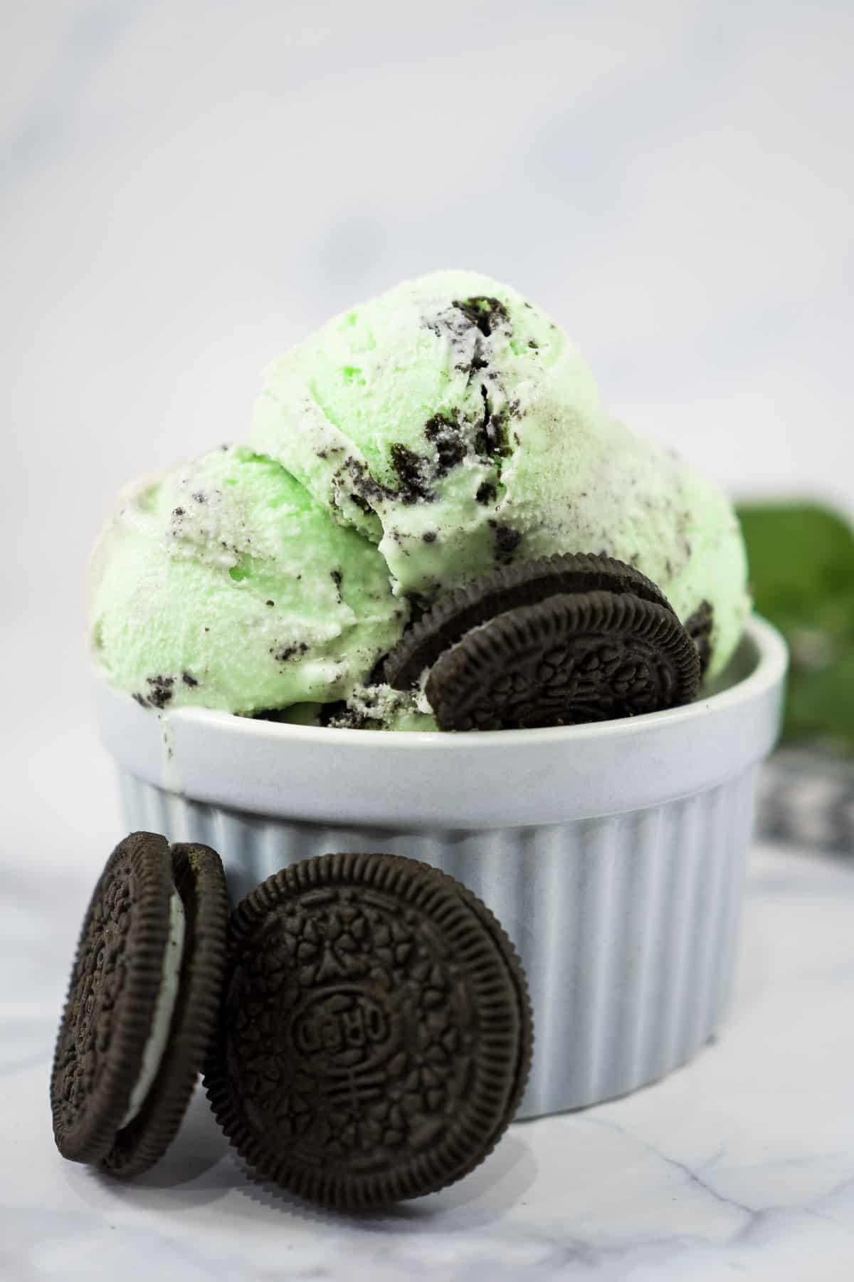 Green mint ice cream scoops in a small white bowl