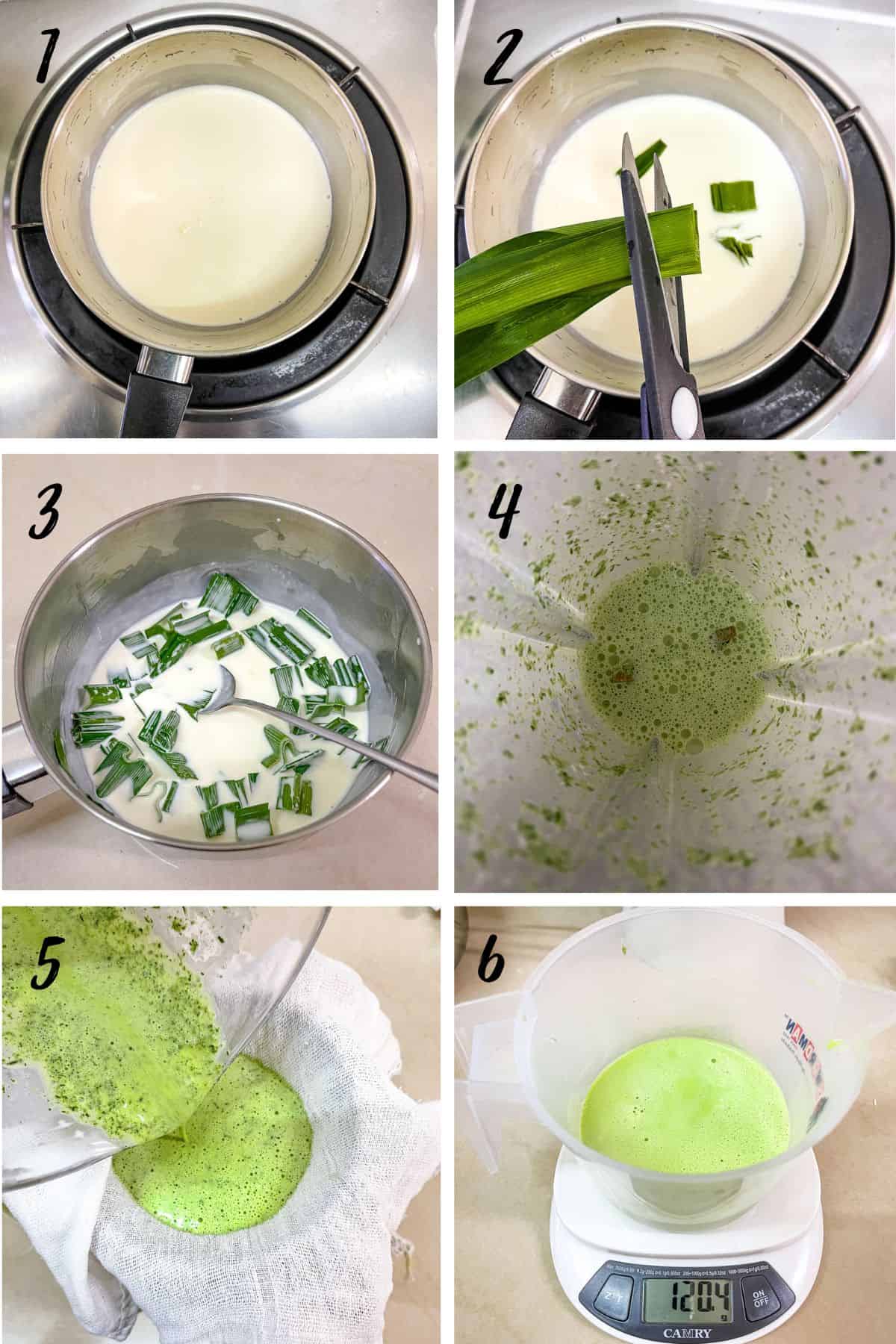 A poster of 6 images showing how to extract pandan juice.