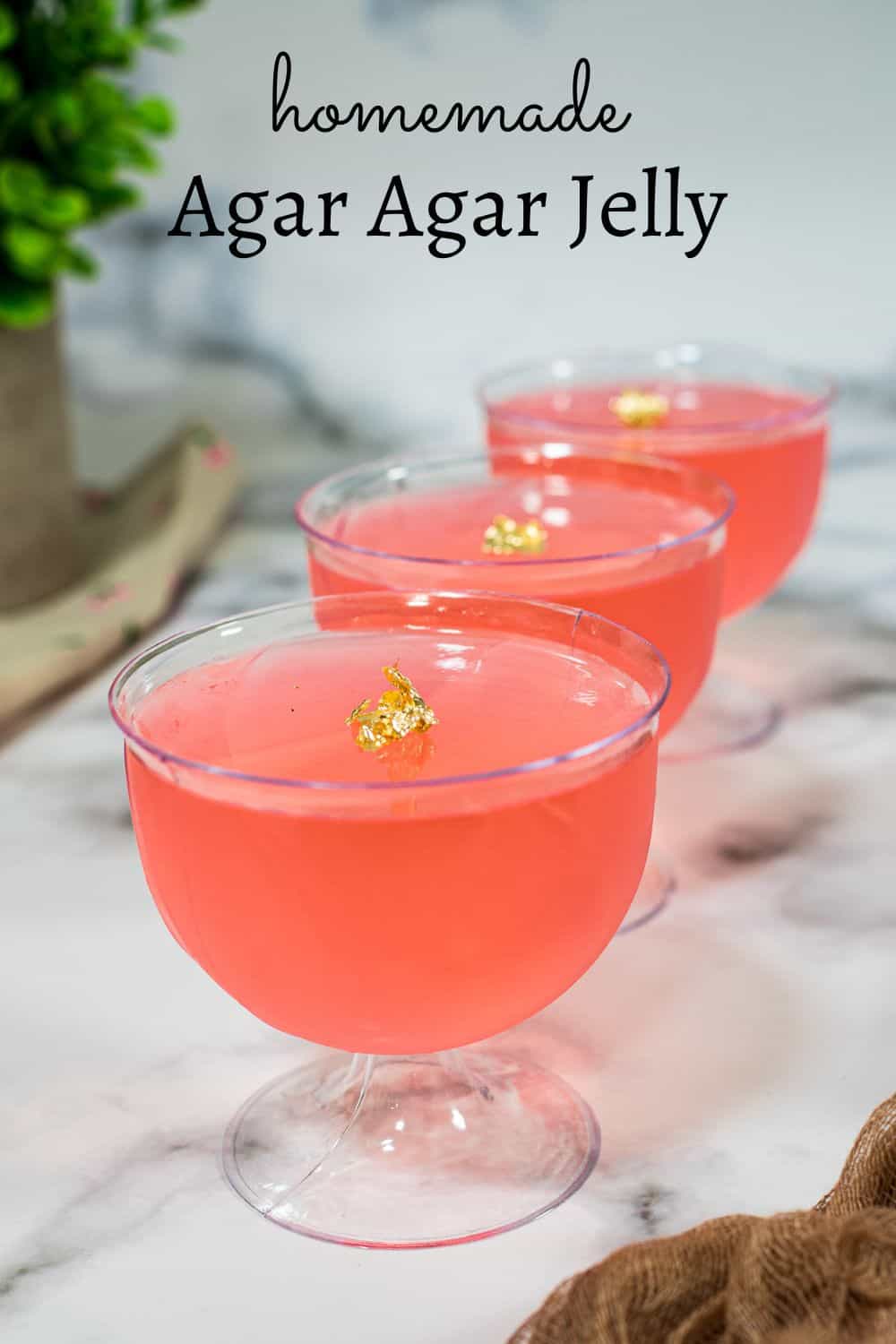 Agar Agar Jelly Recipe (How to Make) Decorated Treats