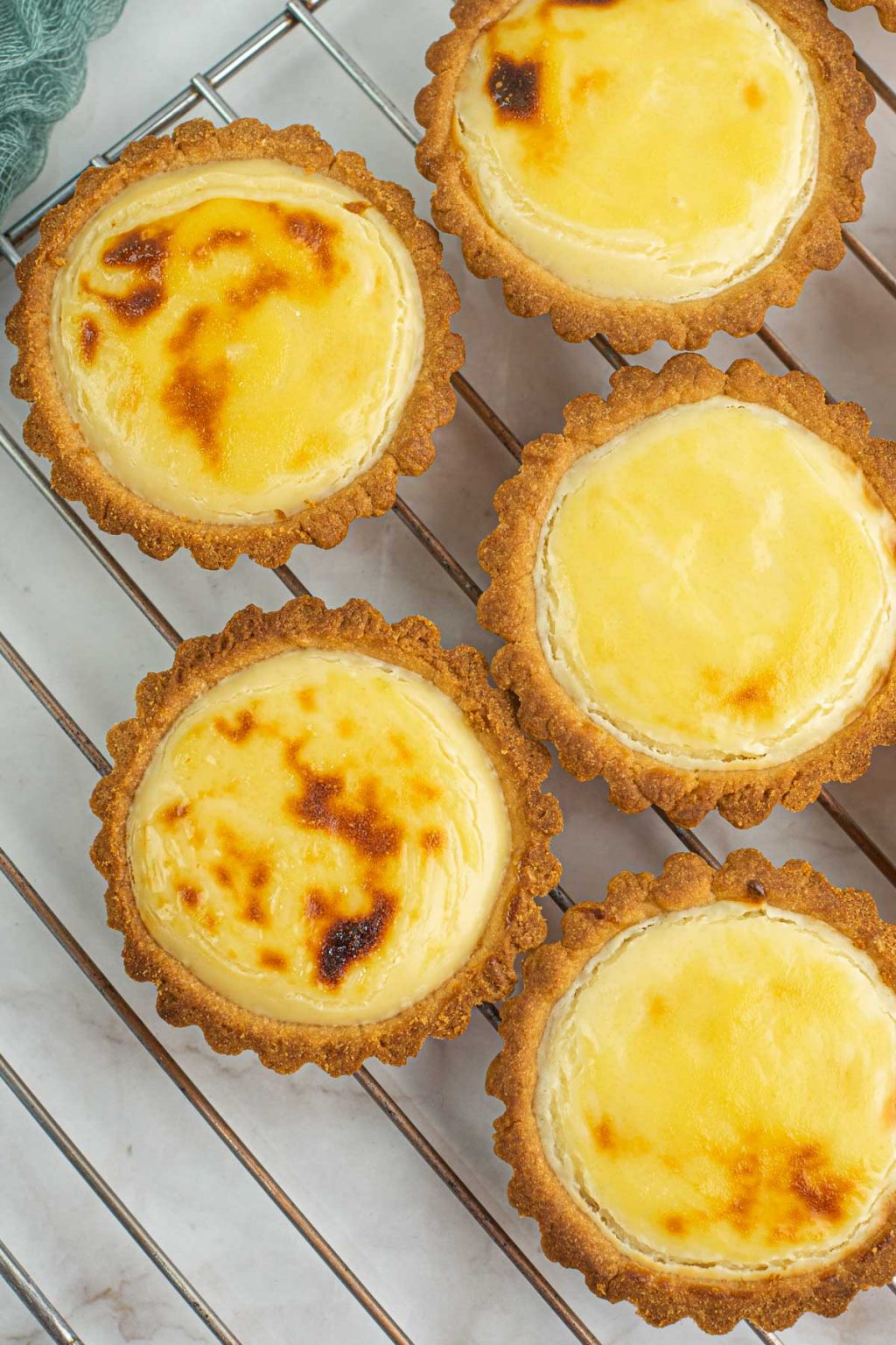 Hokkaido Cheese Tarts (the Best Baked Japanese Tarts) Decorated Treats