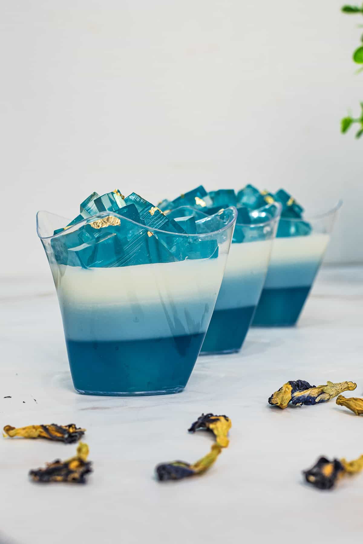 3 cups of layered blue butterfly pea jelly with tiny blue jelly cube topping.