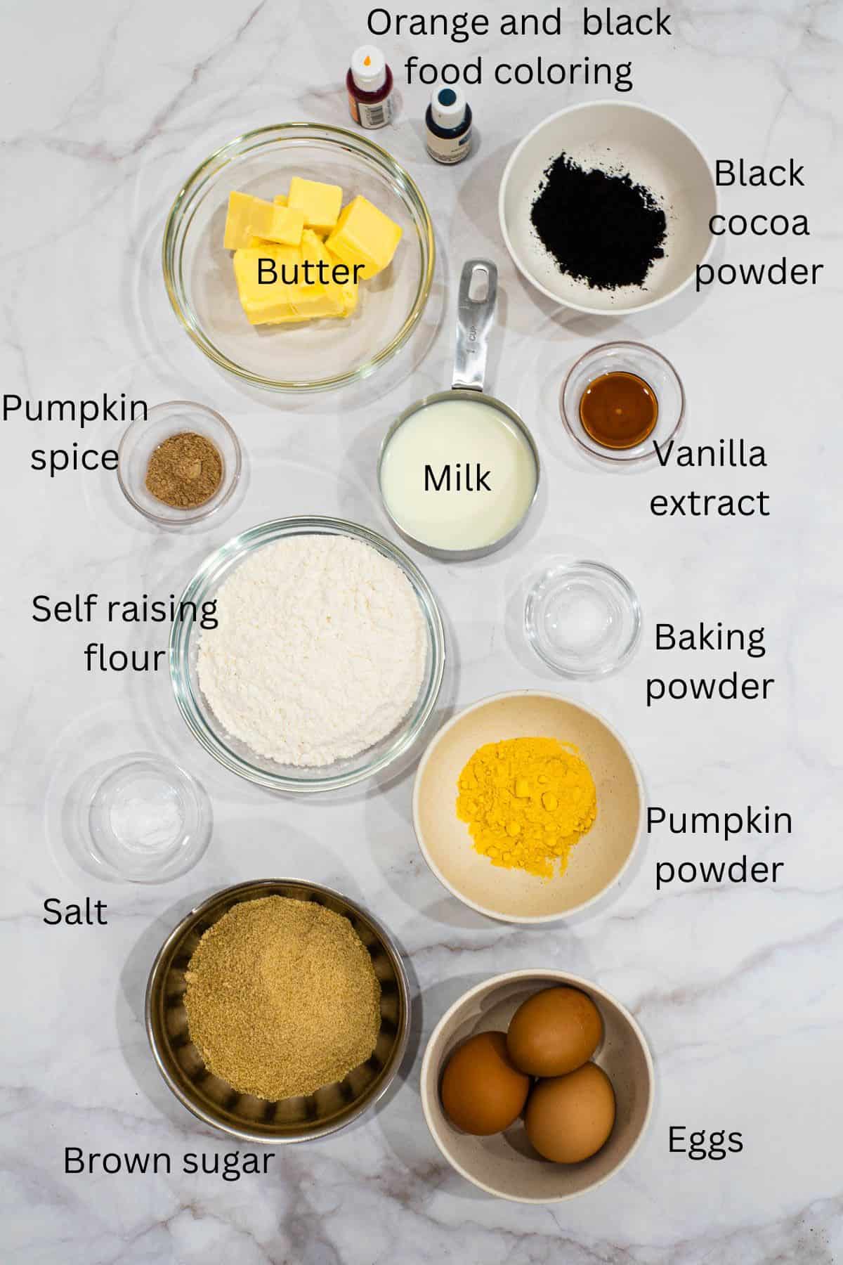 Bowls of flour, sugar, pumpkin powder, butter, eggs, spice, vanilla and cocoa powder against a marble background.