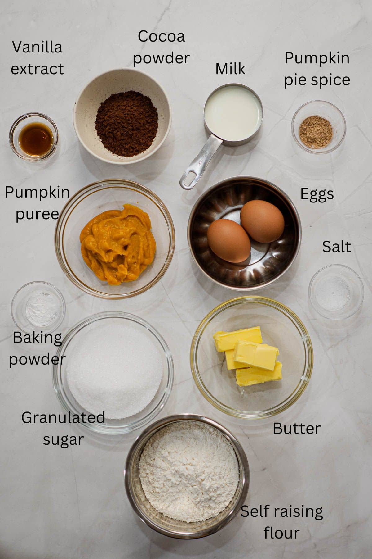 Flour, sugar, butter, eggs, pumpkin puree, pumpkin spice, vanilla, milk, salt, cocoa and baking powder against a marble background.