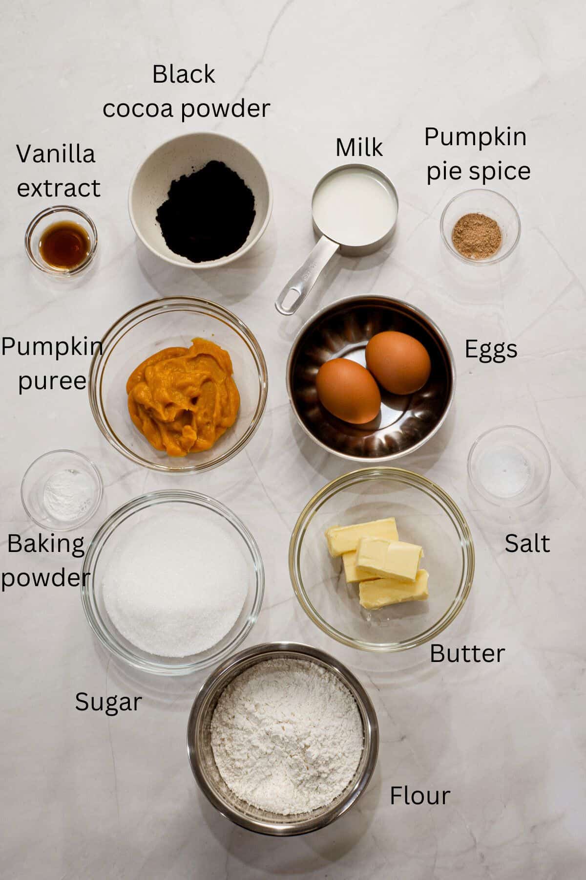 Flour, butter, sugar, eggs, cocoa powder, baking powder, salt, vanilla, pumpkin puree, milk and pumpkin spices against a marble background.