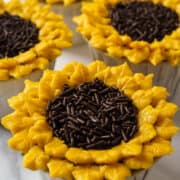 Cupcakes with yellow petals and chocolate sprinkle centers.